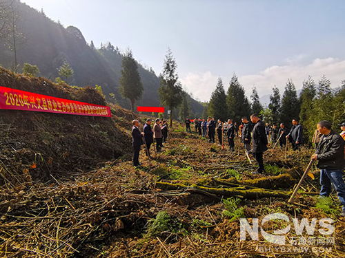 我縣開展林業生態恢復司法補種復綠活動